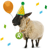 Oxfam: Schaf verschenken
